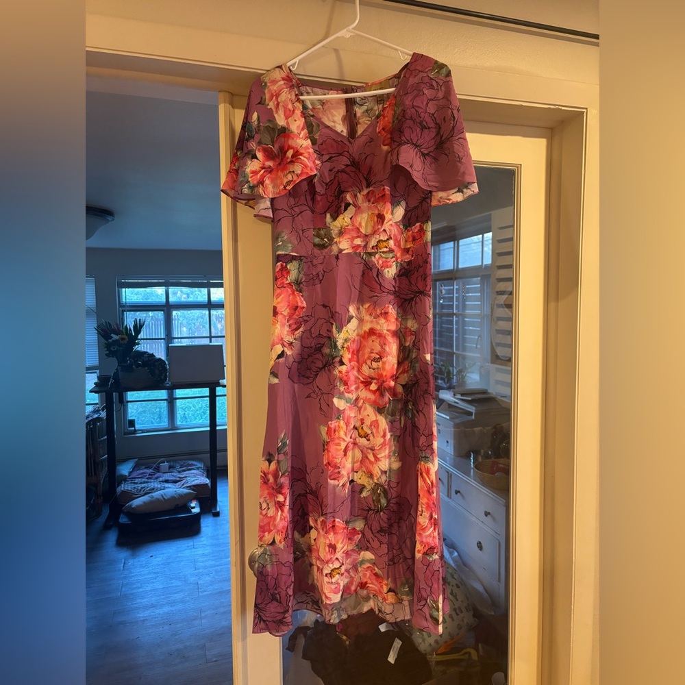 NWT Women's Size 6 Pink and Purple Silk RACHEL Anthropologie Dress